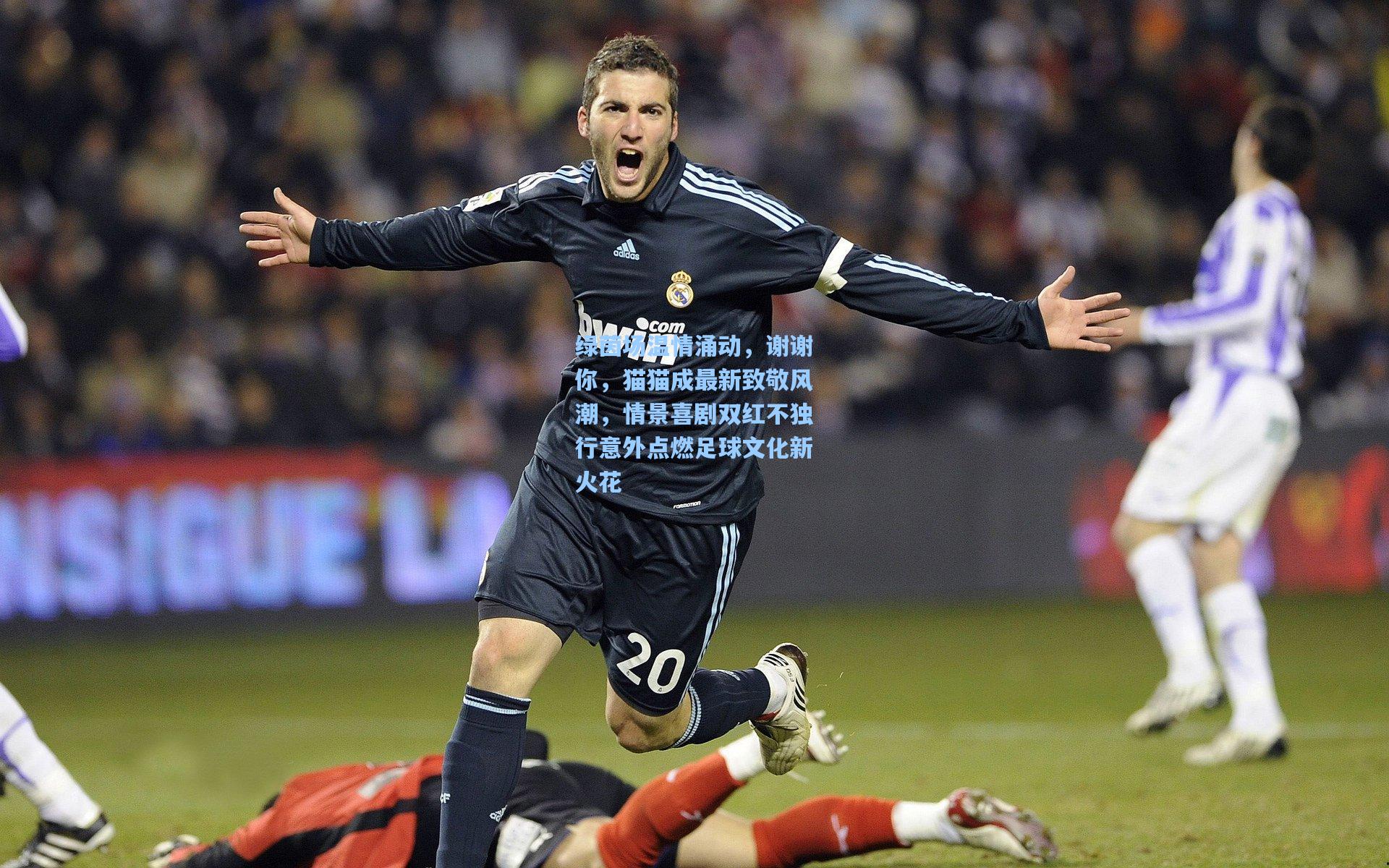 绿茵场温情涌动，谢谢你，猫猫成最新致敬风潮，情景喜剧双红不独行意外点燃足球文化新火花