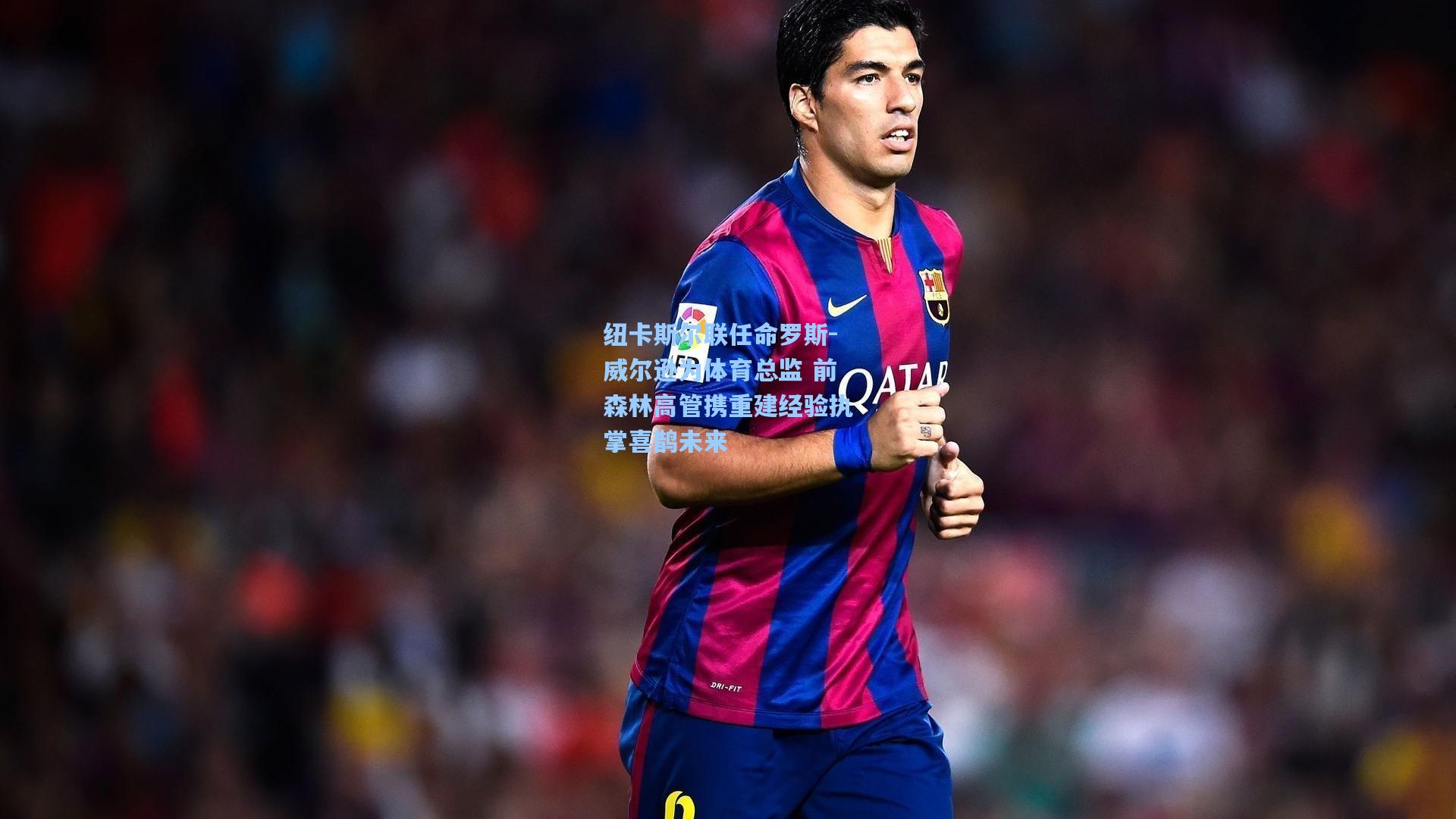 纽卡斯尔联任命罗斯-威尔逊为体育总监 前森林高管携重建经验执掌喜鹊未来