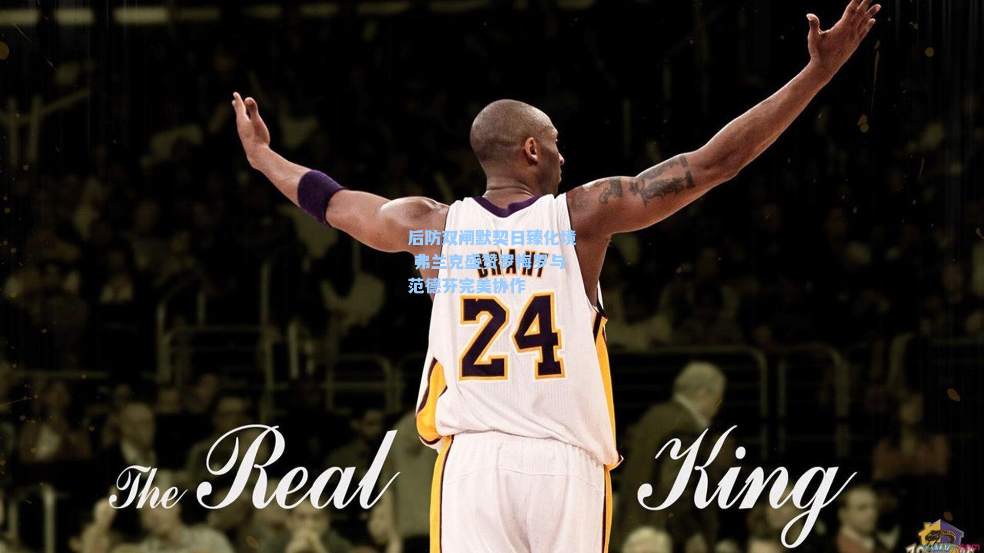 后防双闸默契日臻化境 弗兰克盛赞罗梅罗与范德芬完美协作